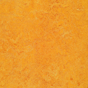 Forbo Marmoleum Real - Dandelion