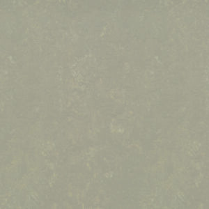 Forbo Marmoleum Vtwonen - Kwarts