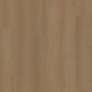 Hoomline Prestige Dryback PVC Vloer - Strook - Nice 5053