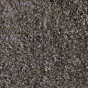 Interfloor Tapijt - Sensations 819